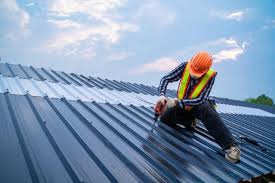 Roof Coating Services in Cedar Springs, MI